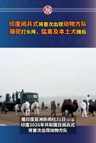 印度2026年阅兵式将首次出现动物方队，骆驼打头阵，猛禽及本土犬随后，“凸显印度
