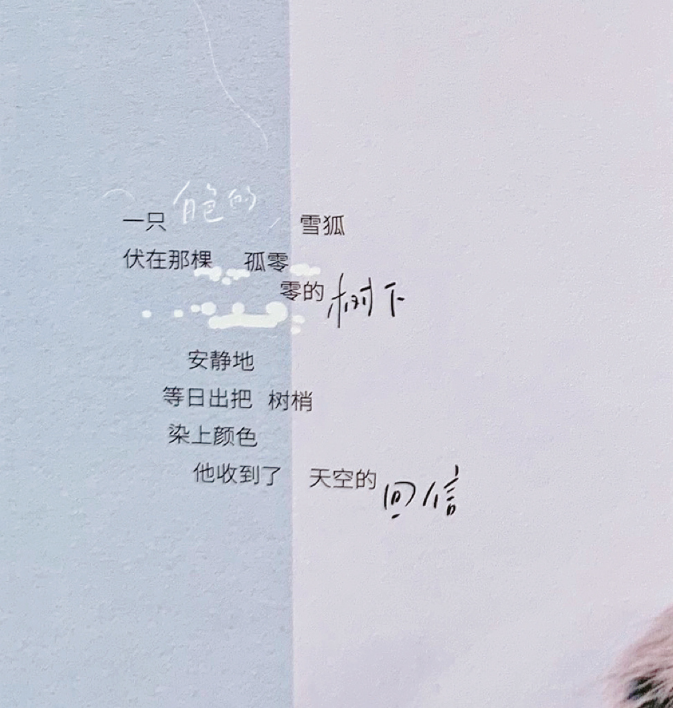 树与天空的礼物&文字记录📝 