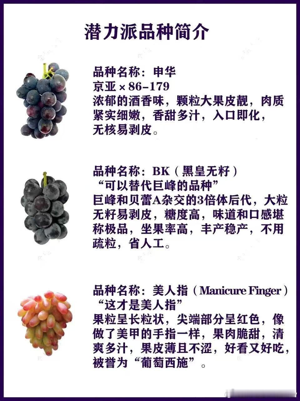 吐鲁番有500余种葡萄干10颗葡萄干里9颗来自吐鲁番 吐鲁番承包了日常葡萄干供应