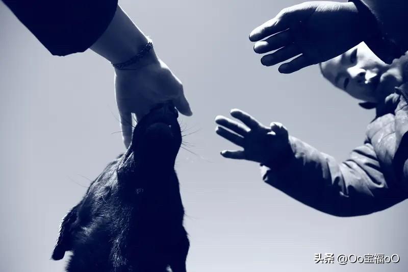 疫情就像一场漫长的梦，如今梦醒，人性的多面性也愈发清晰。
疫情期间，有人不顾他人