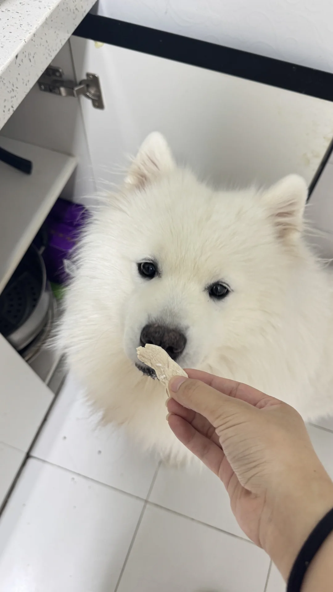 吃肉