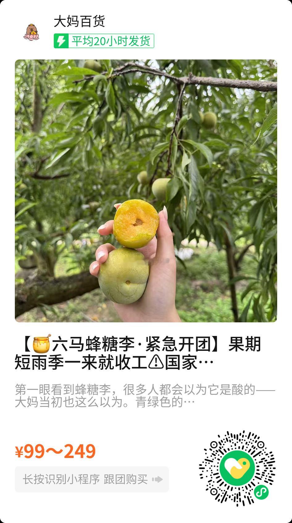 你们一直问的李子上架啦！纠结了好几天，大妈还决定先上六马蜂糖李！吃都吃了，先吃最