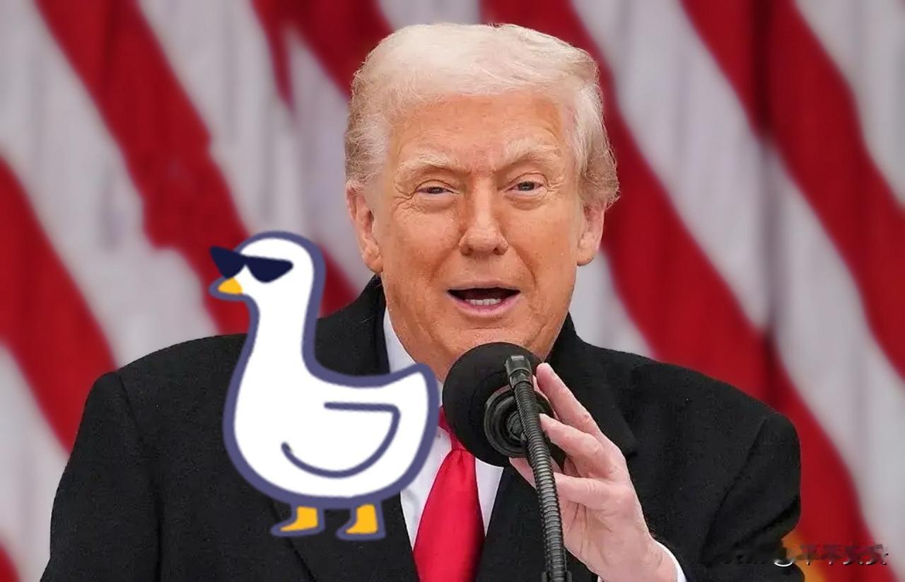 特朗普又回来了！

11月29日，特朗普在社交平台正式宣布，“拜登任内约92%的