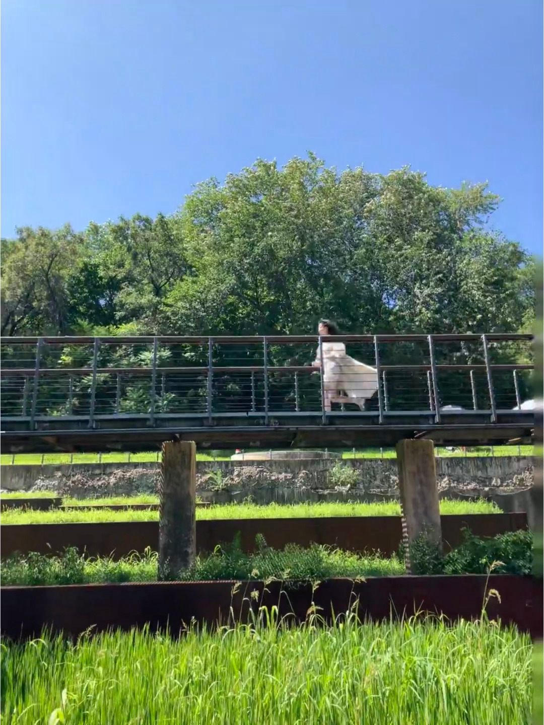 好日漫的感觉陈都灵余九琪 陈都灵冬风吹又生 