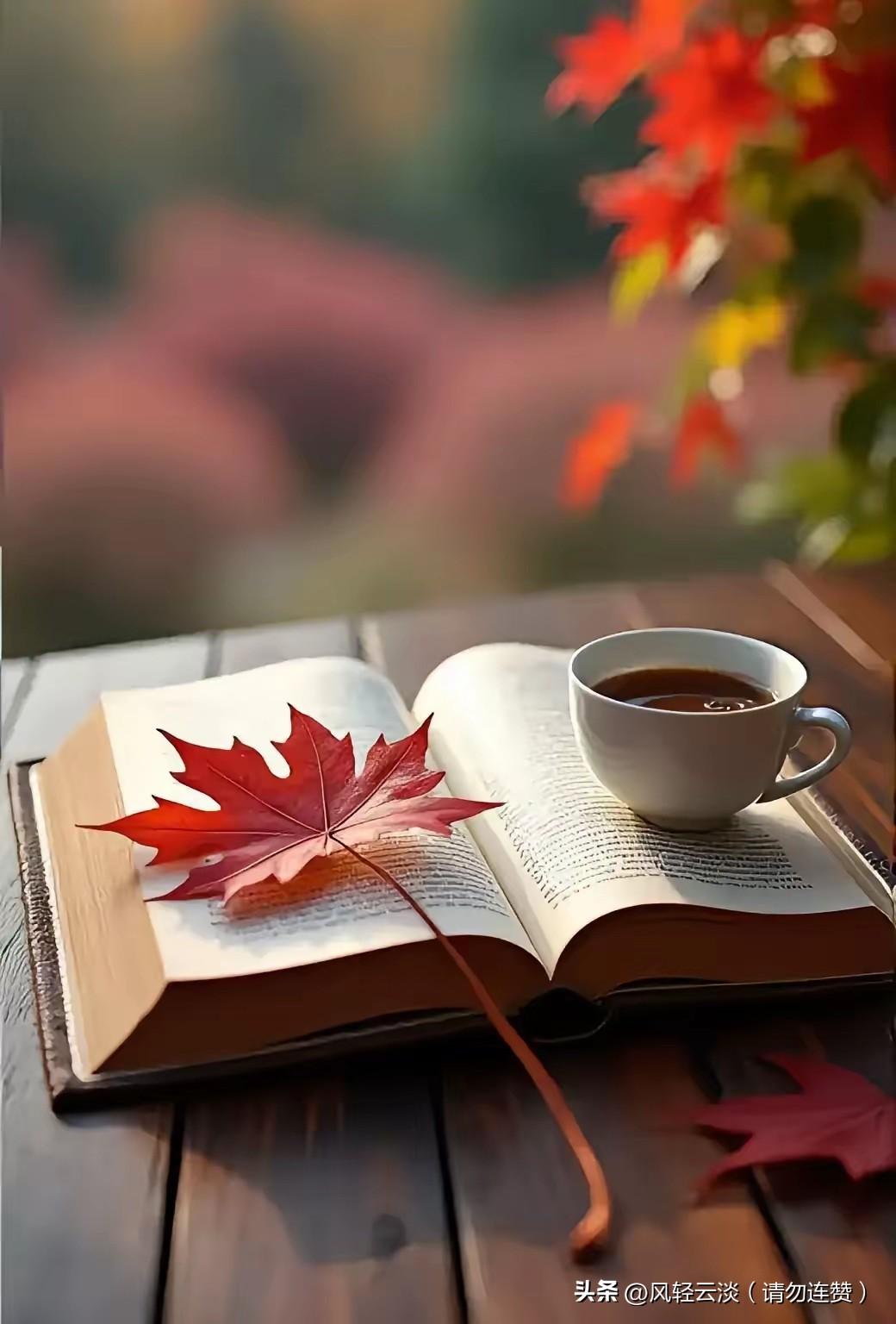 好几天没画画了，今天抽时间整理了一下我的画室，把练习的画都收起来，把常看的书放最