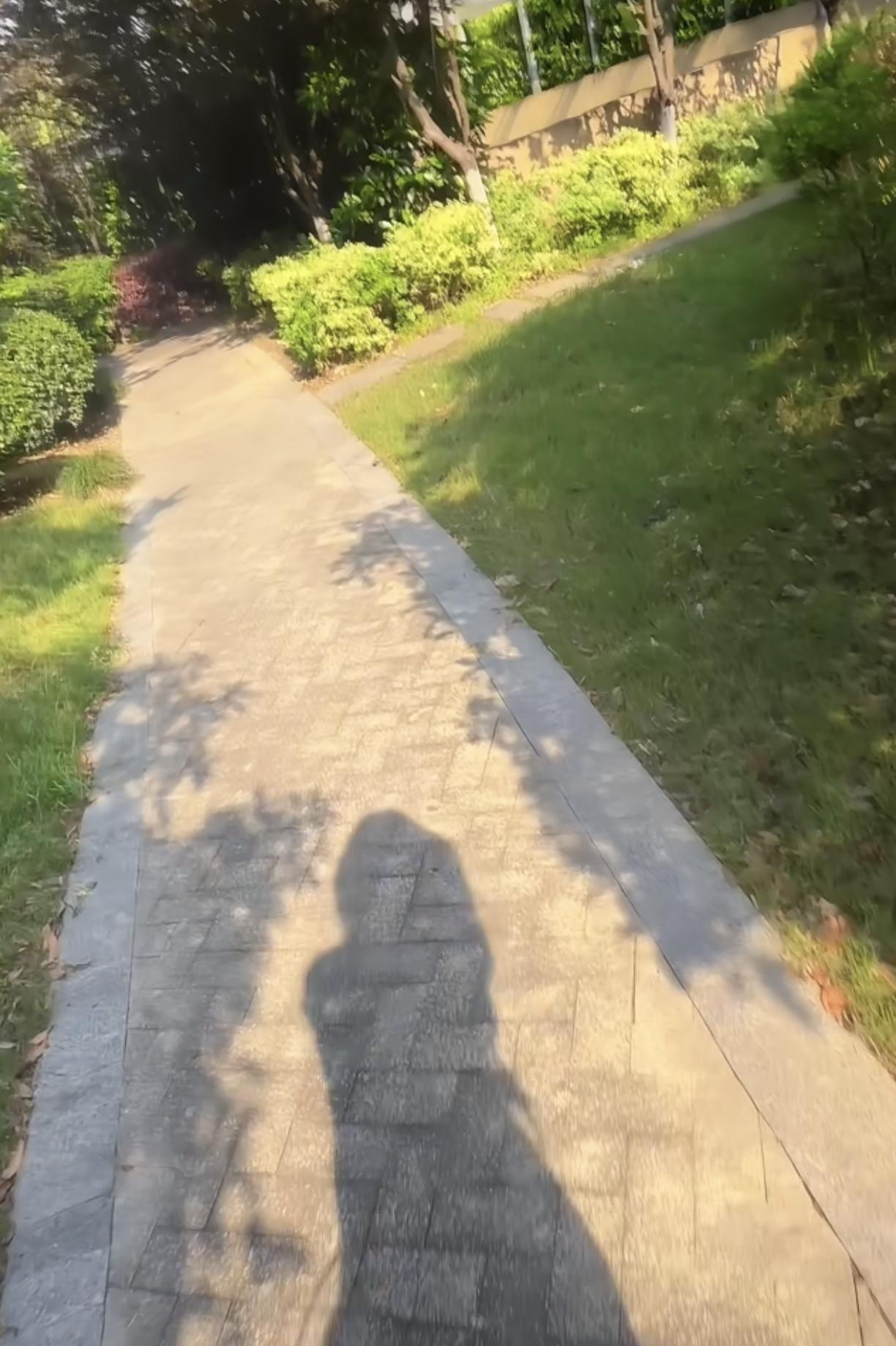 早早去为了尽快拿到施工组织设计，路过公园看到这样美女，让人忍不住拍了几张……
