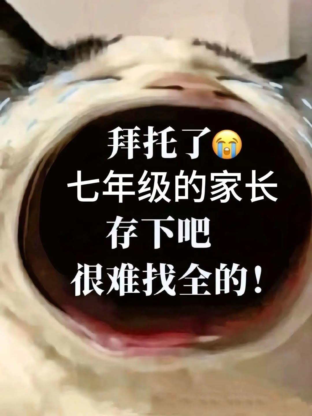 2023-2024学年度，七年级上册语文，第一次月考、期中考试复习、预习必背、必