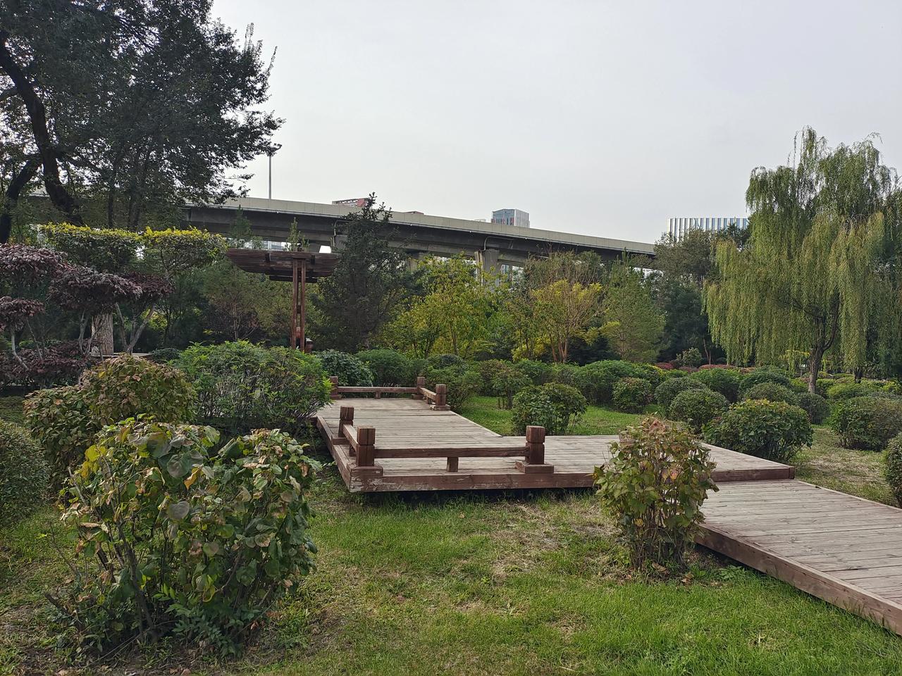 秋岭公园赏秋，欣赏秋天风景之美用不着往远走，兴安南路与南二环交汇处东南方的秋岭公