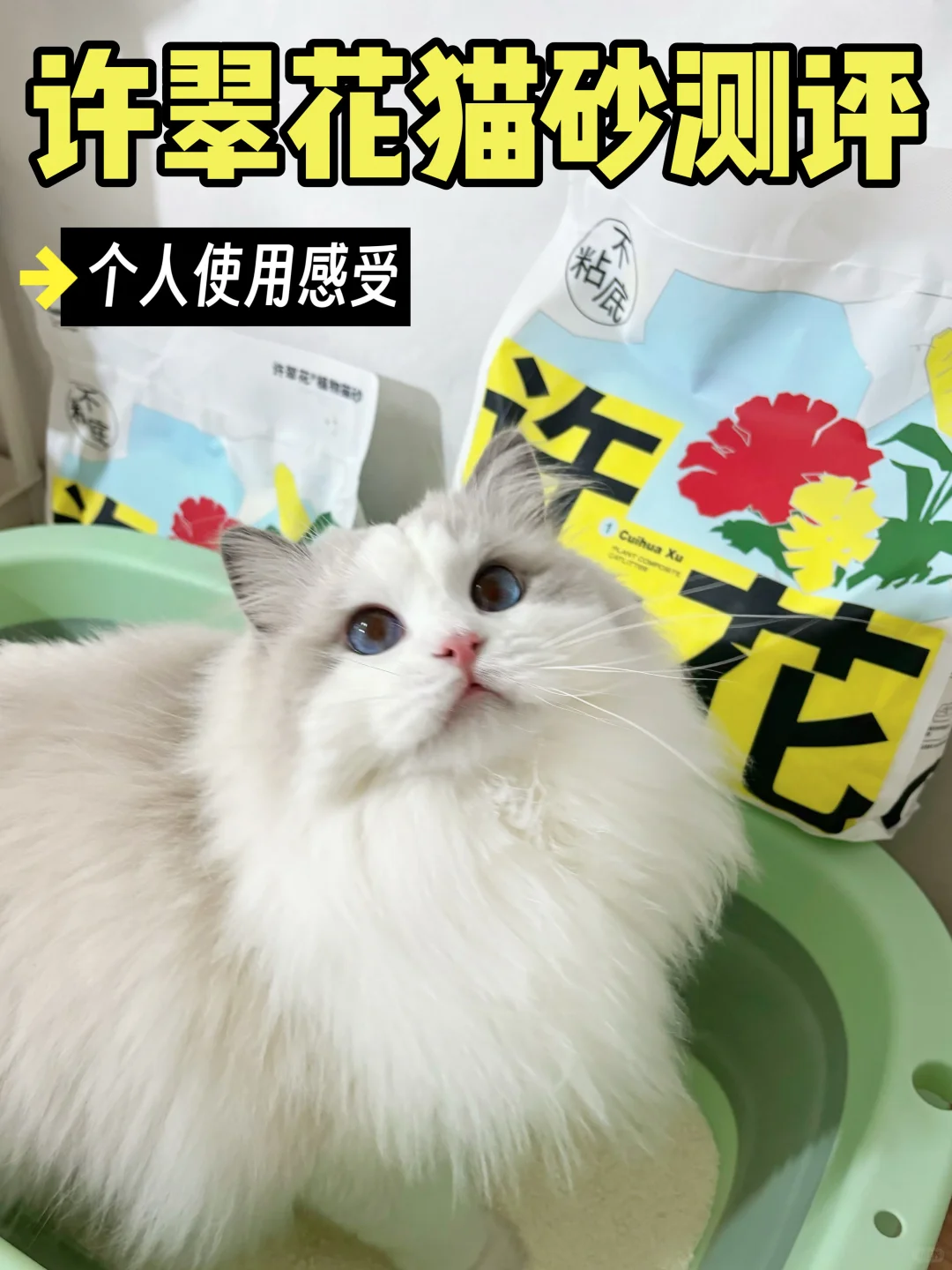 进来看，许翠花的水到底有多深！