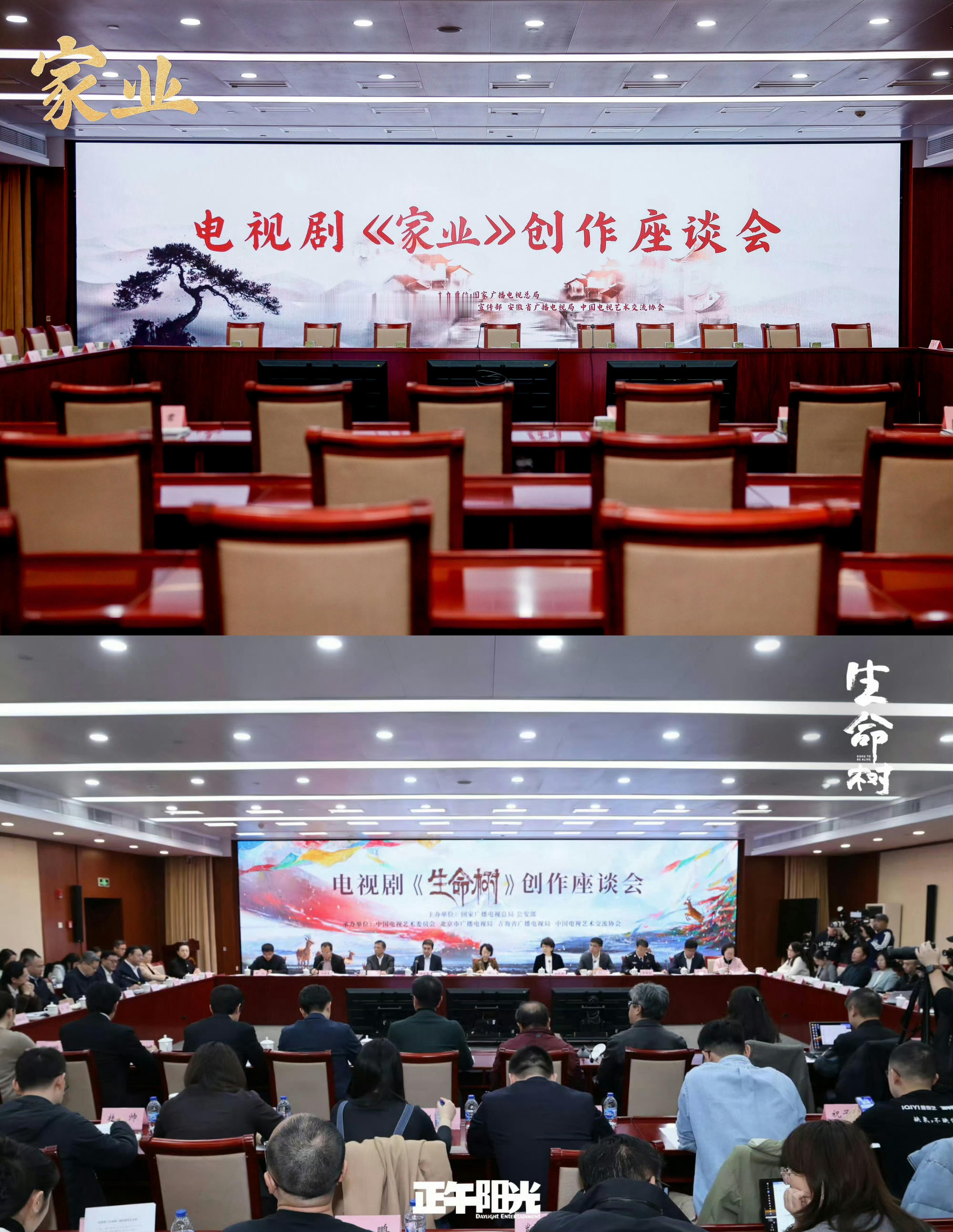 杨紫家业和生命树在同一个地方体制内就是不一样哈哈哈 