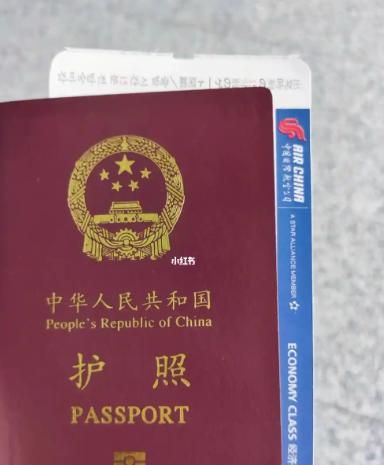 法学专家陈枫一句建议，引发全网巨大争议！他提出，所有持留学签证、工作签证等长期签