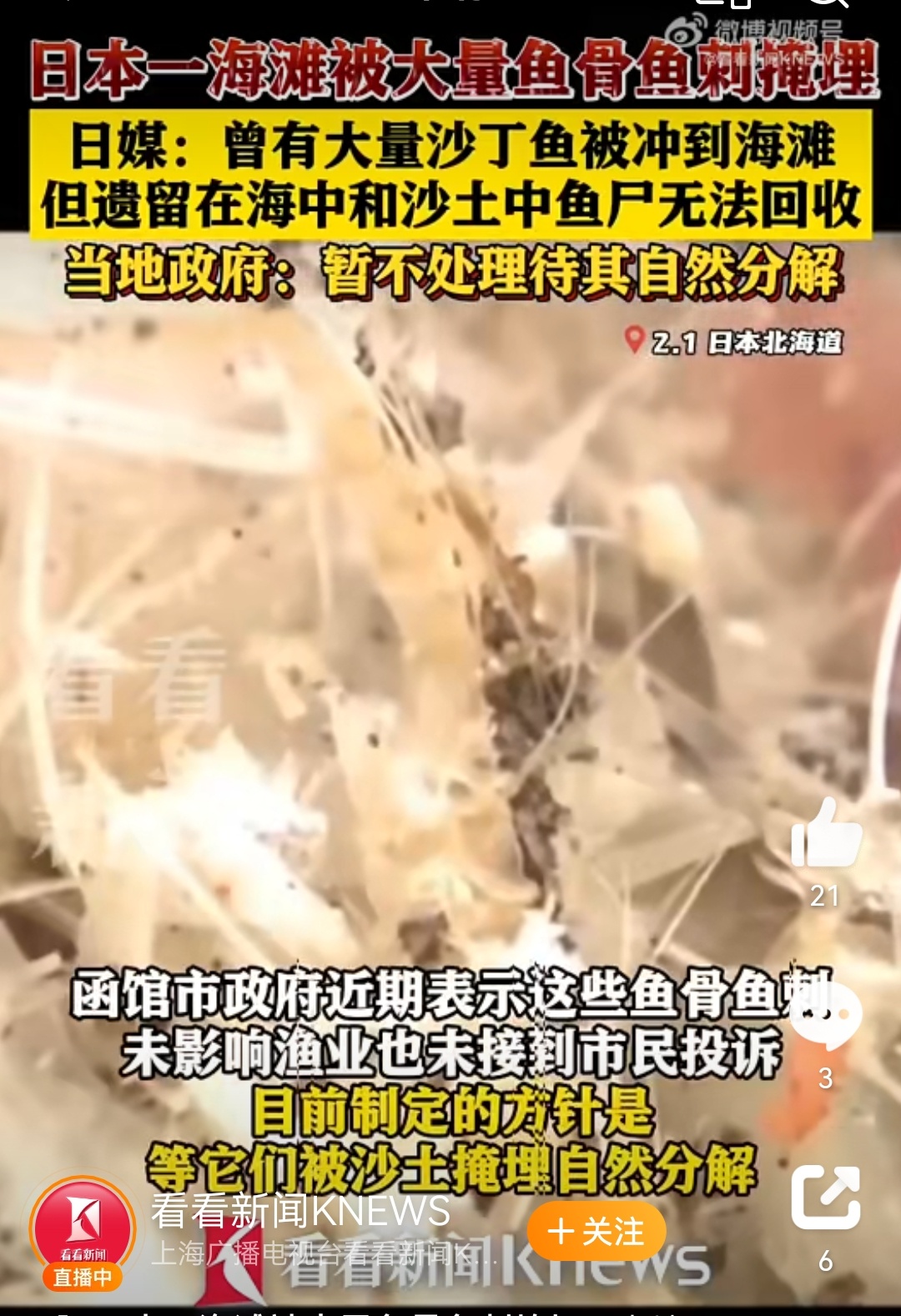 #日本一海滩被大量沙丁鱼骨掩埋# 国名一换，某些人可能又是反思又是质疑，各种关联