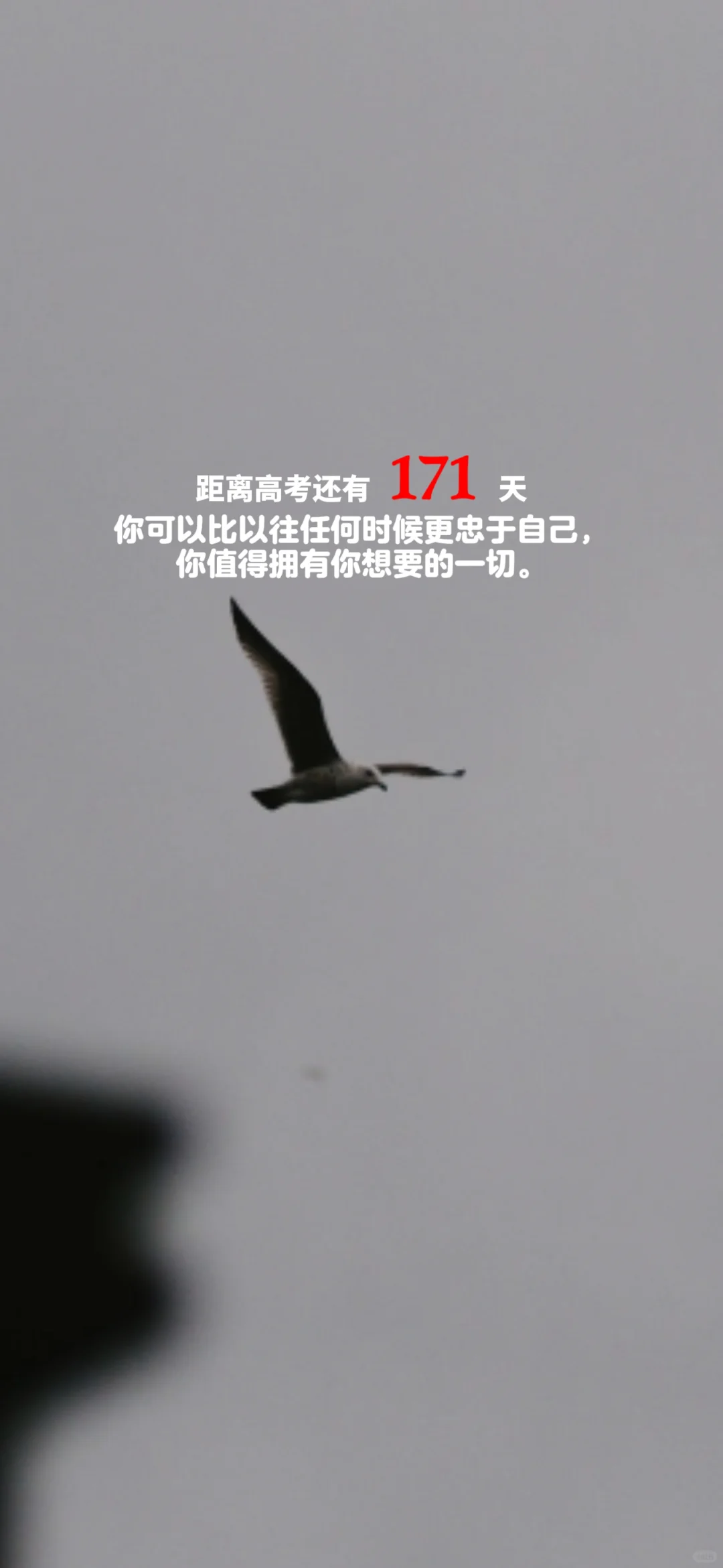 2025高考倒计时，每日更新。