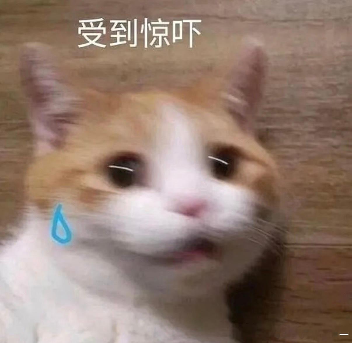 我们不是准备中秋去欧洲玩嘛（中秋国庆连在一起放假爽歪歪），现在开始准备出行用品，