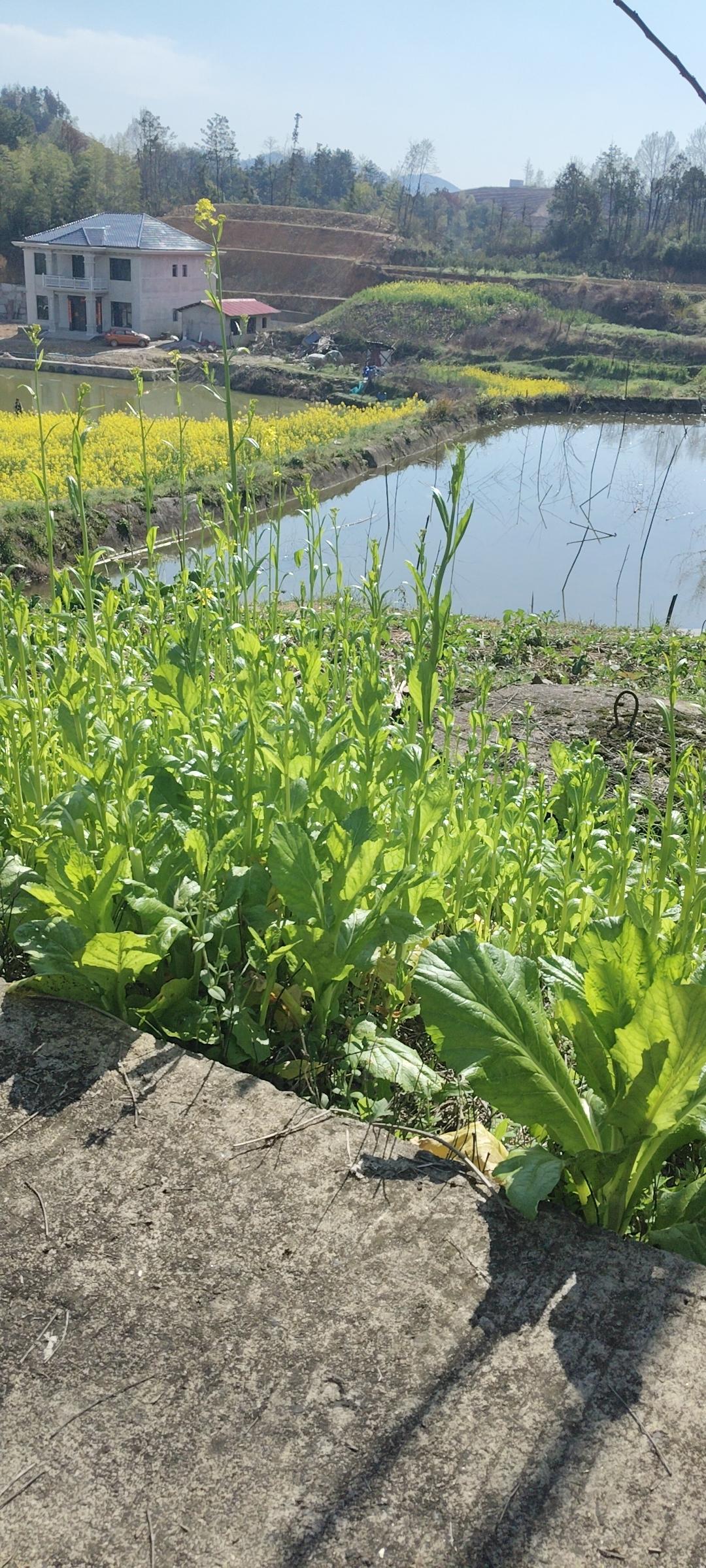 人到中年，认真打扮从来不是矫情，而是对生活最赤诚的热爱，也是认真对待生活。
 