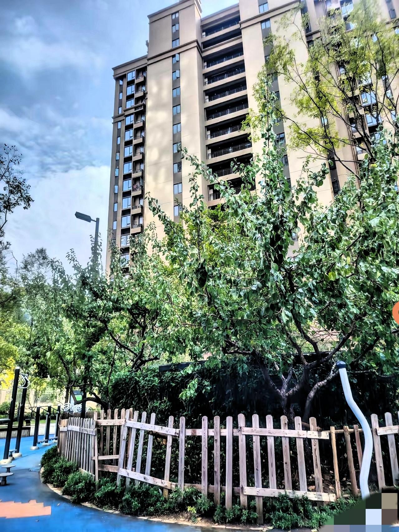 农村赡养怪象炸锅！女儿尽孝却分不到家产，公平吗？
 
农村这新变化太让人纠结了—