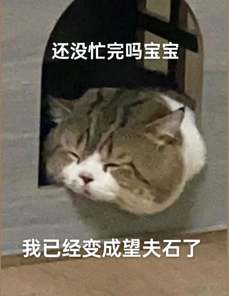别在戴眼镜的人面前炫富，可能人家的学术成果、专利证书，比你的奢侈品值钱多了，以后