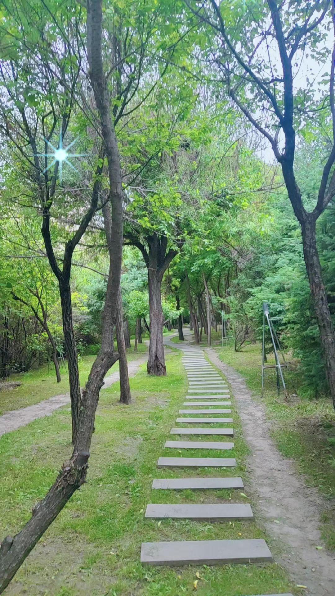 有些东西重新拿起来真的太重了，所以埋在心底，保持安全距离。不会太近不会被伤到，不