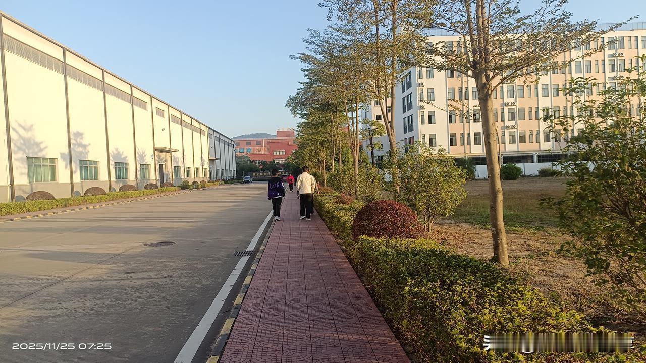 来广州从化这个厂是因为看到了劳务中介发的招聘信息慕名而来，什么女儿国基地啊脱单神