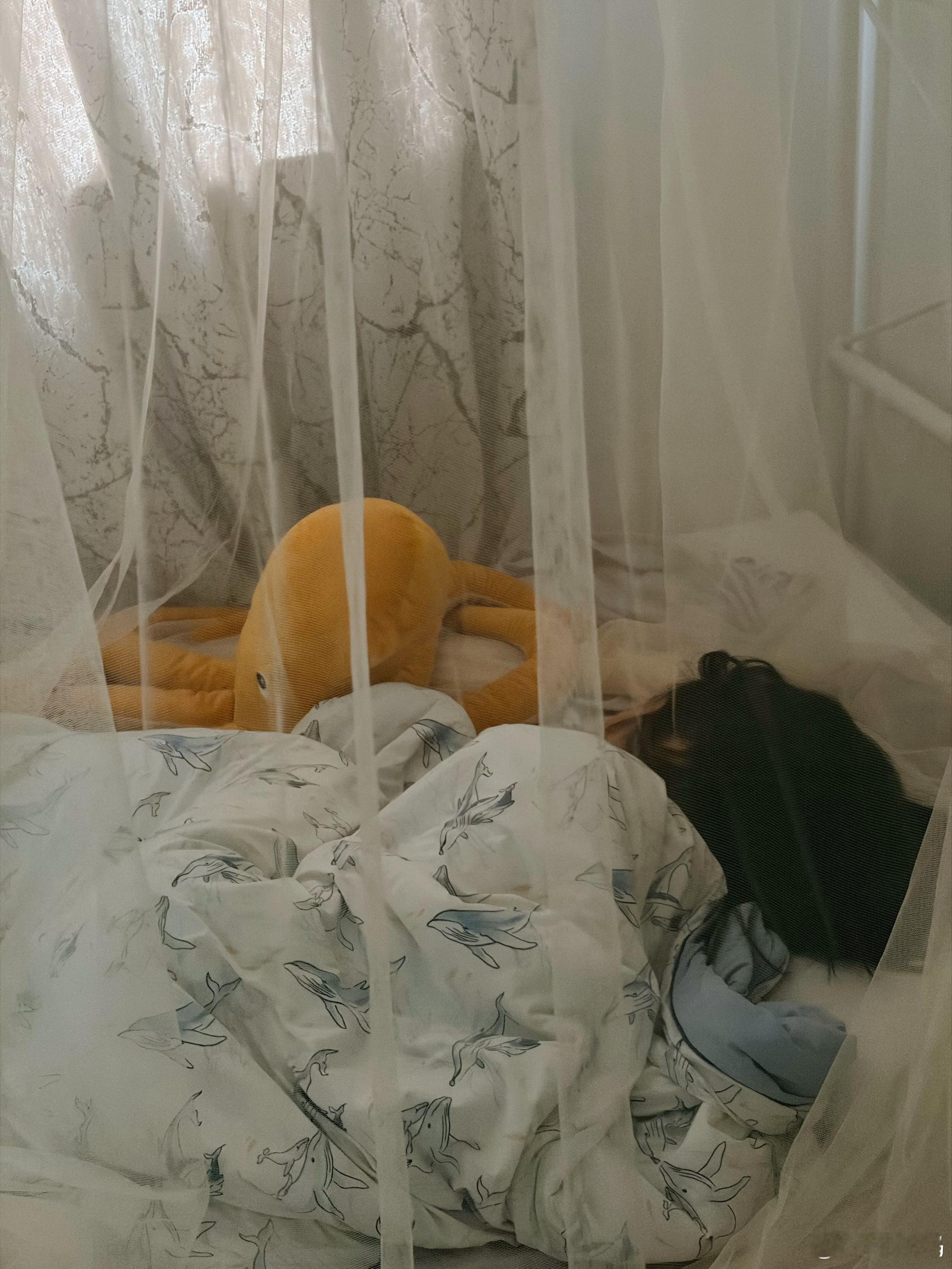 昨晚可儿睡前说热要开空调，就给她开了会儿除湿。我们睡前我让可儿爸去给她关掉，我还