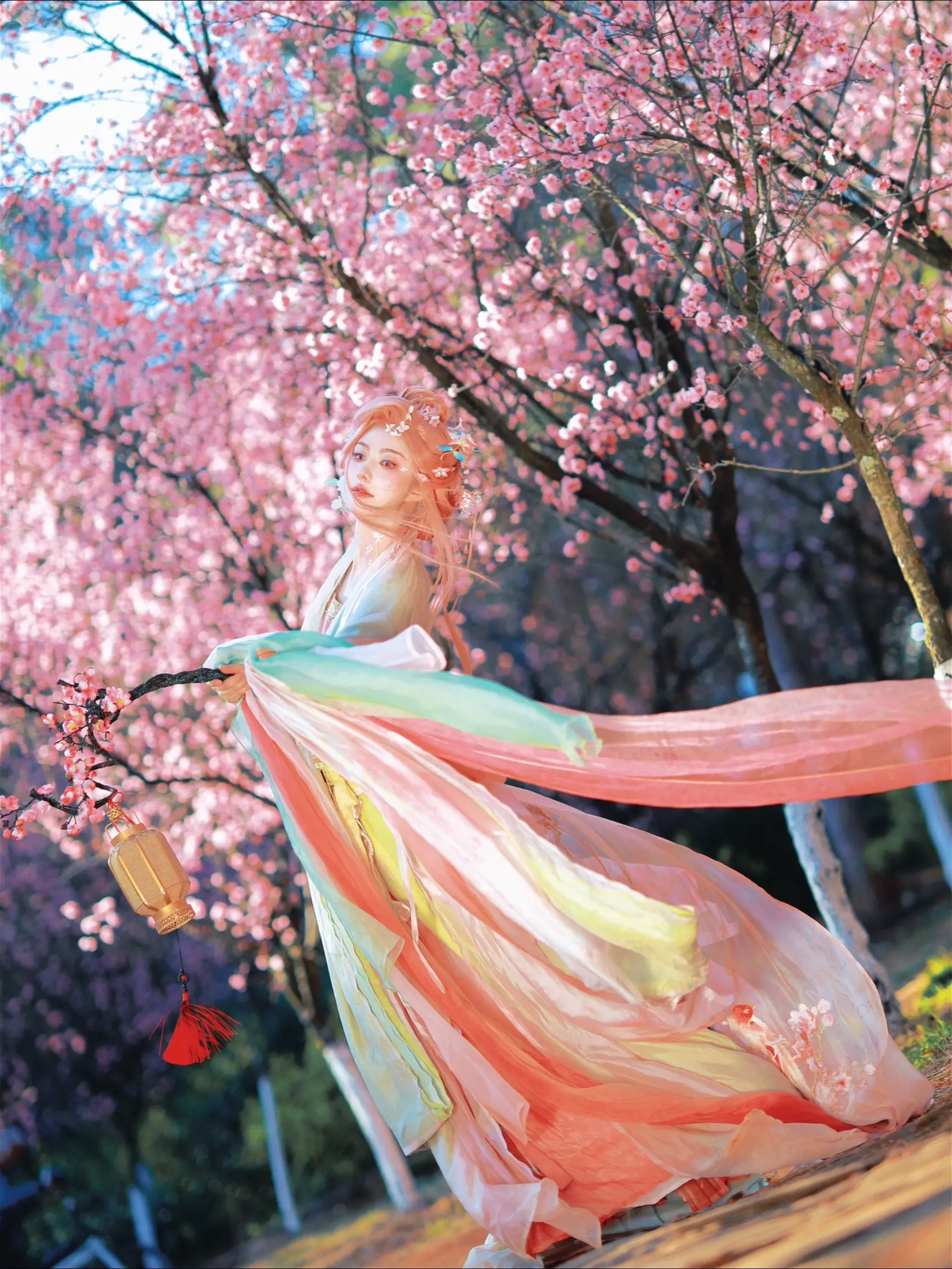 春知晓、梦不觉。