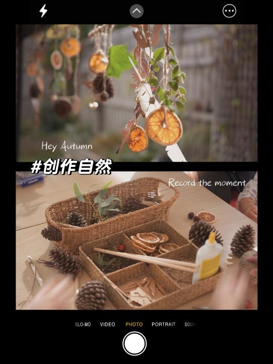 今天的挂件真的好治愈～