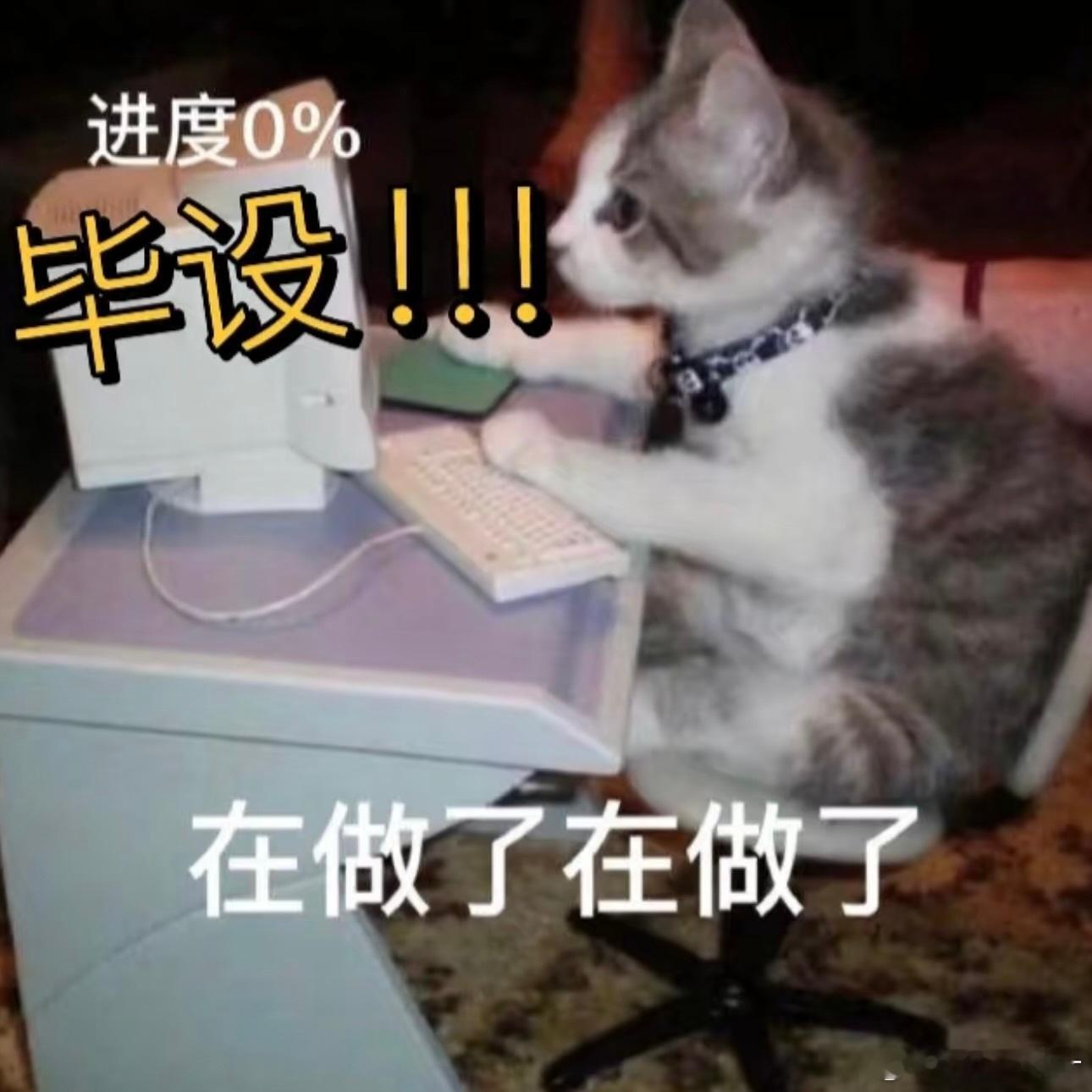 发疯ing ​​​