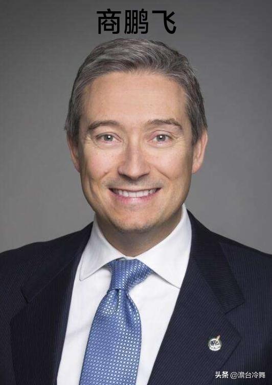 很多人第一次听到“商鹏飞”（François‑Philippe Champagn