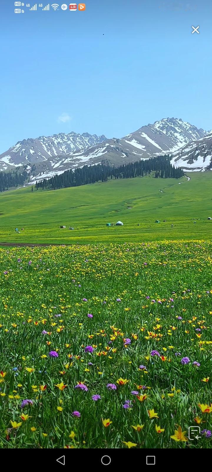 工作干嘛？我还未曾见过大海。先去观海，攀登雪山，游览园林，参观故宫等宫殿，再穿越