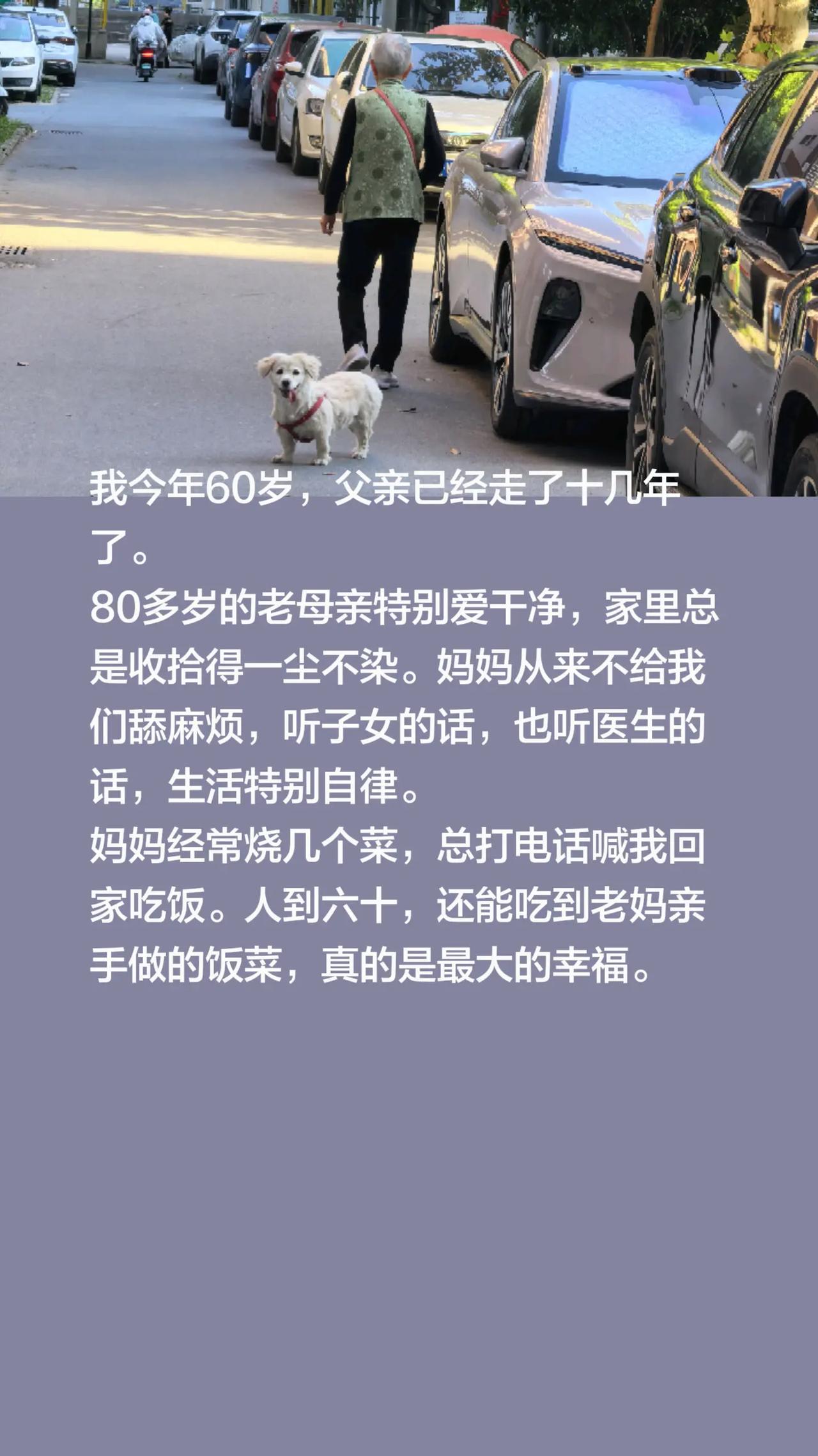 我评论了@唐  吉可德 的作品：我今年60岁，父亲已经走了十几年了。80多岁的老