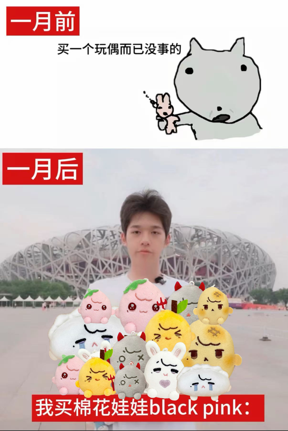 少买一个的钱又不会暴富 