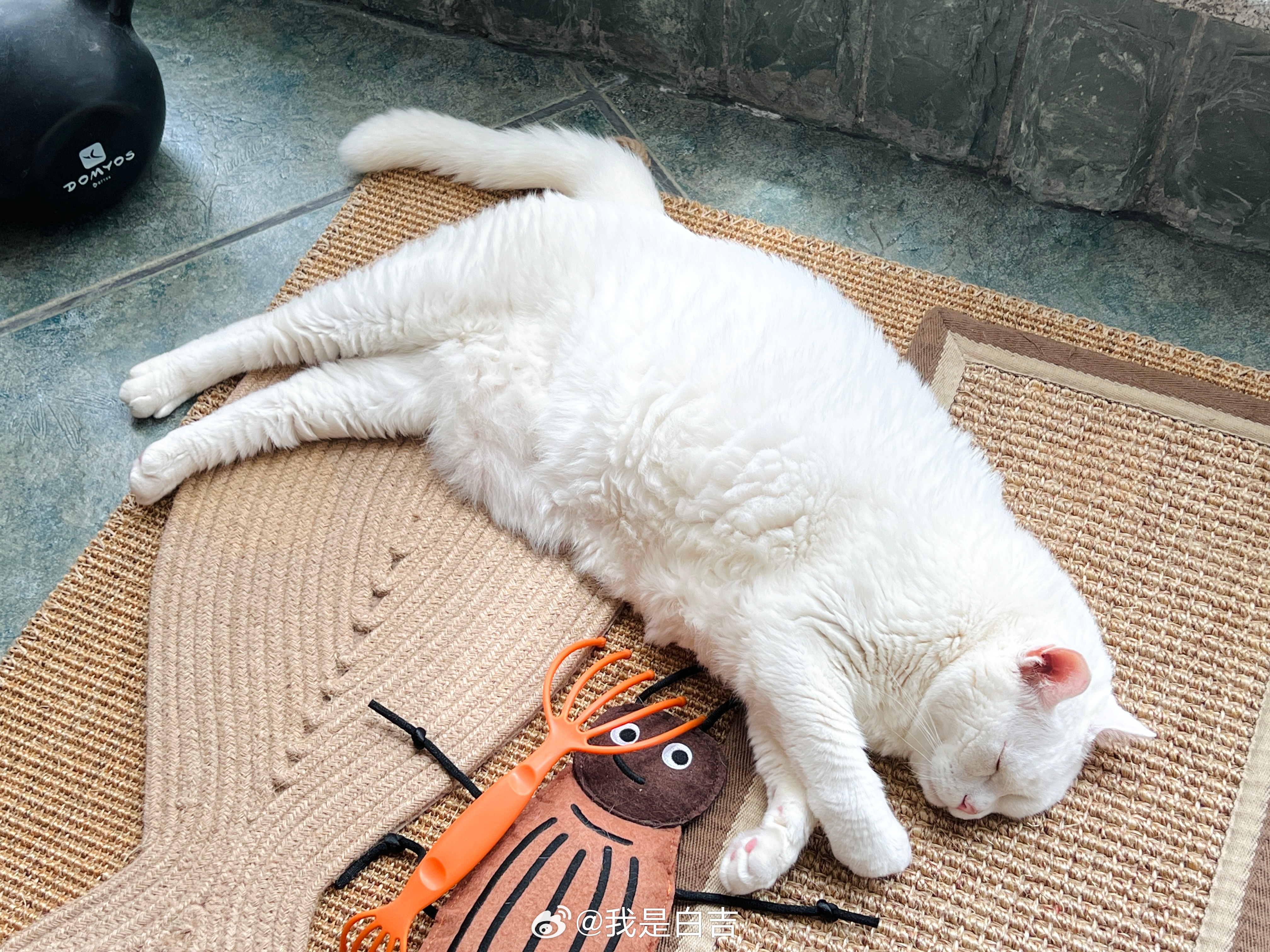 廣州終於出大太陽了。 ​​​