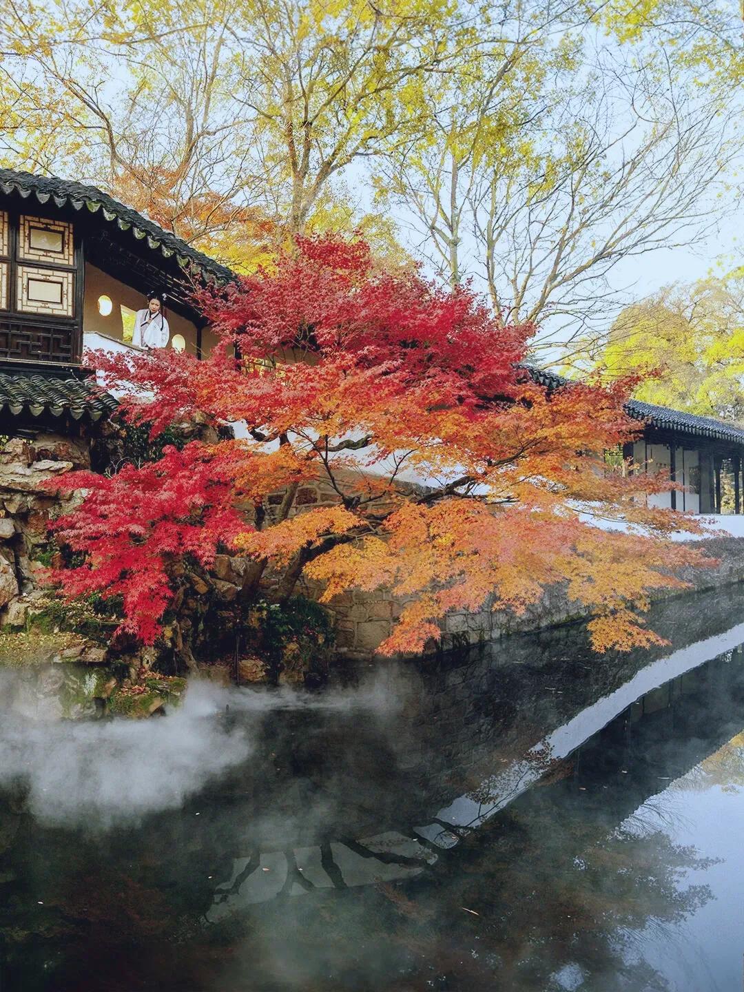 《清平乐·红叶》/郭兴华

秋深霜重，红叶枝头弄。似火如霞燃情纵，风过飘零如梦。