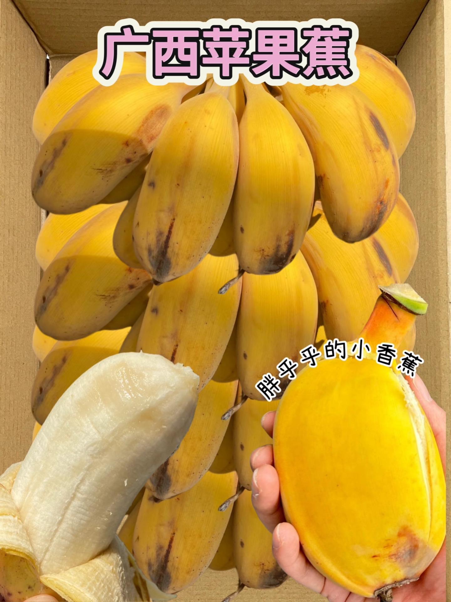 随手买的广西苹果蕉，没想到巨巨好吃，不愧是香蕉届的冰淇淋啊！，一个月回...