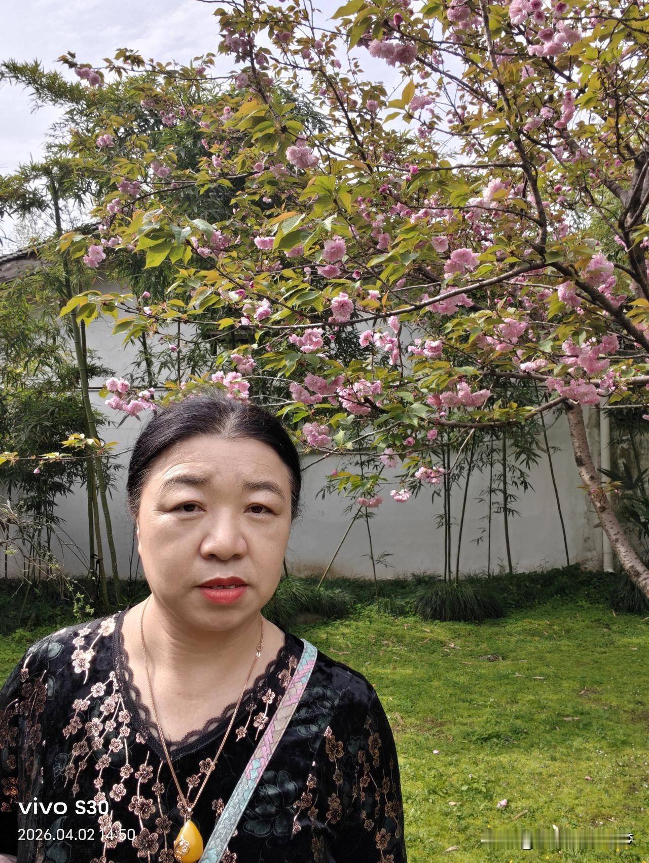 随手拍张照