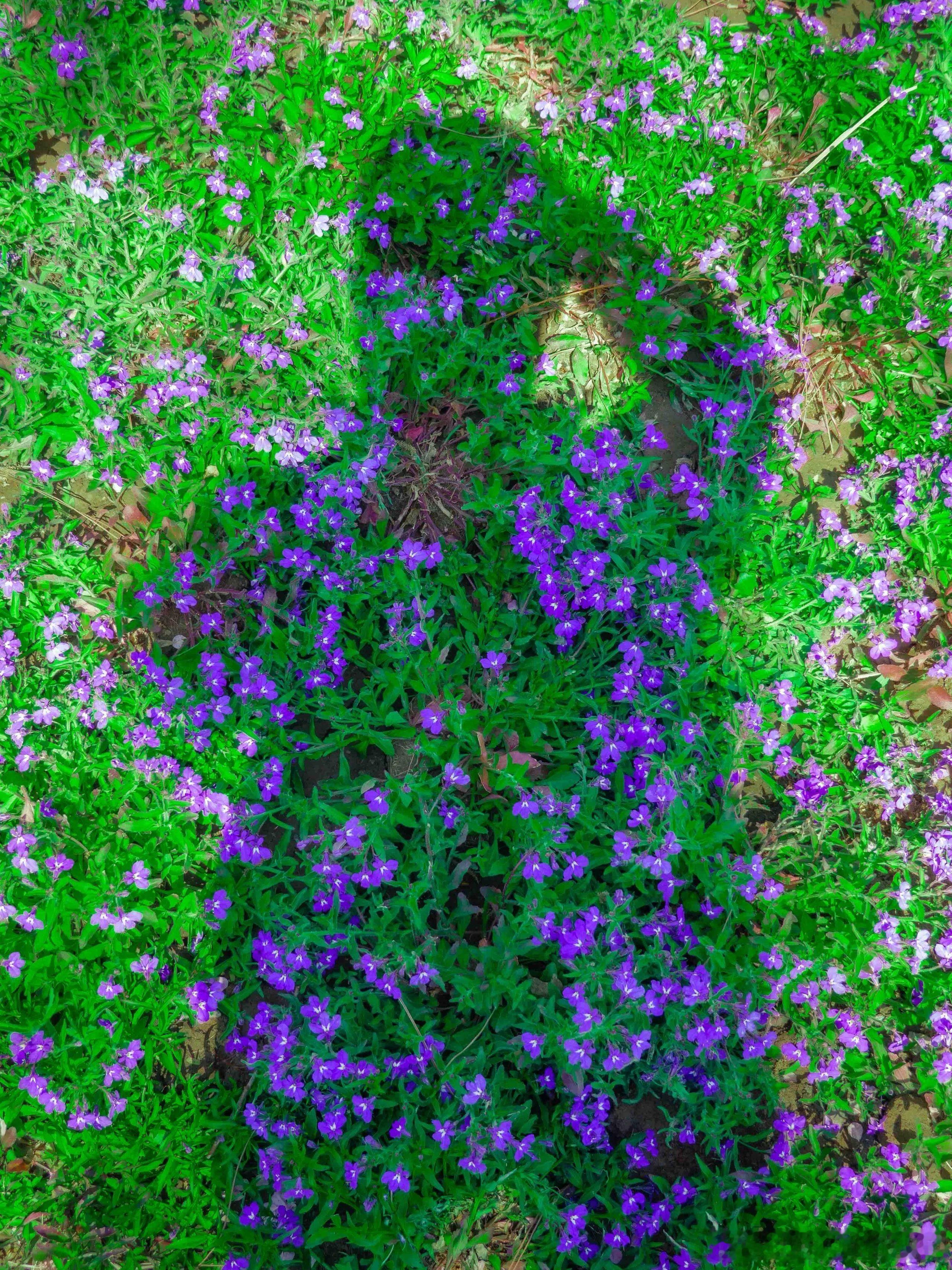 珍惜当下，勇敢而从容地过好每分每秒。早安，每一个你！早安早安心语早安