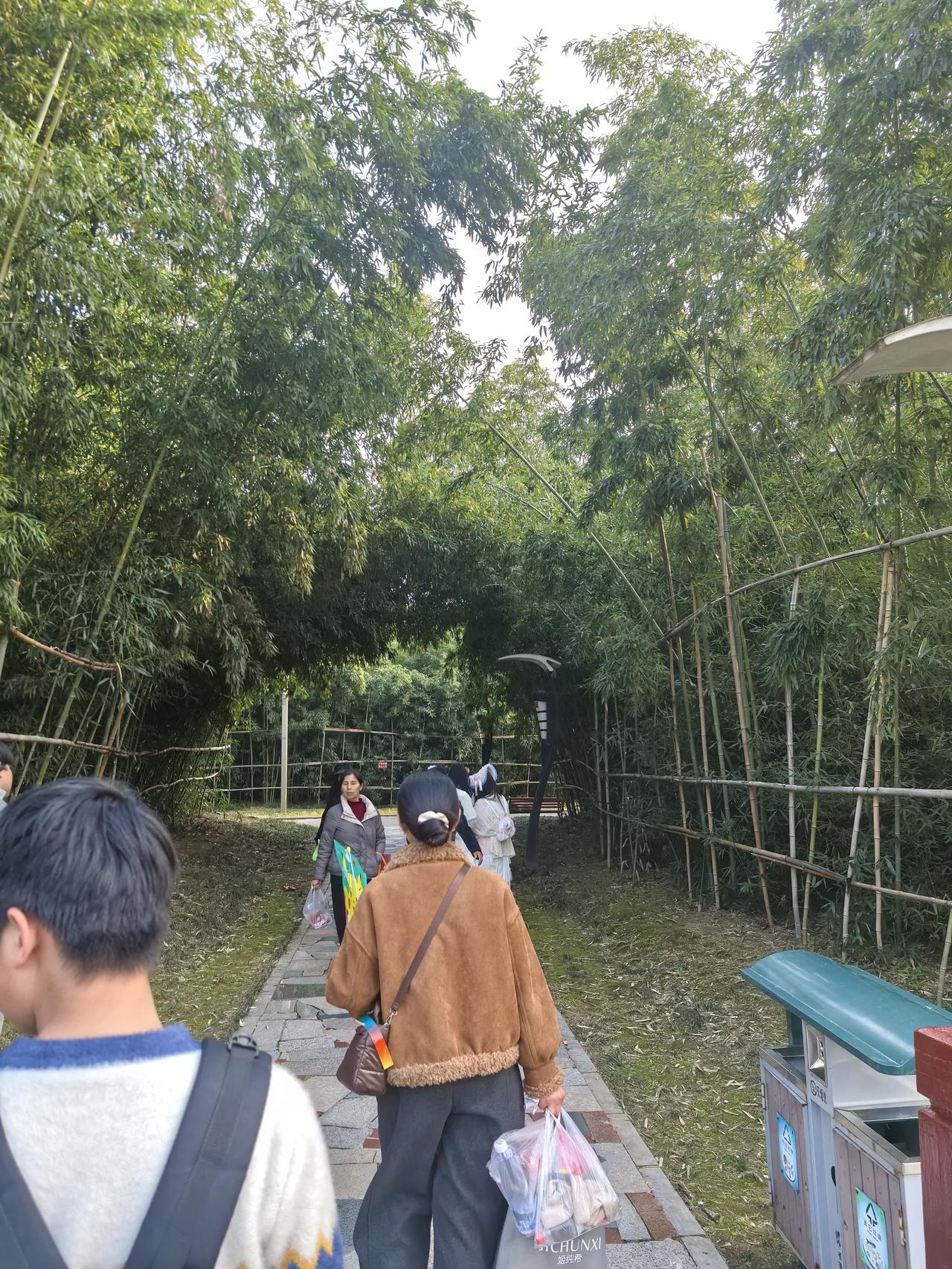 父母会老去，伴侣未必能永远依靠，孩子长大后也会有自己的生活。与其把希望寄托在他人