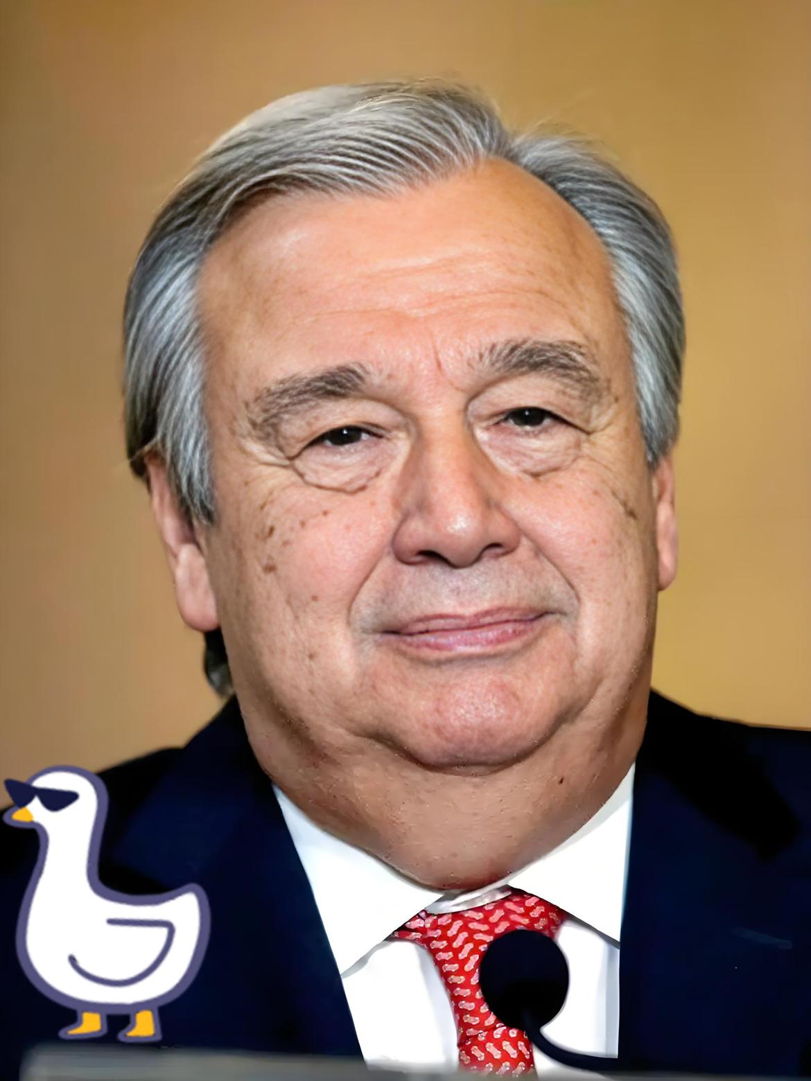 速看！
                    联合国正式宣布了！

联合国秘书