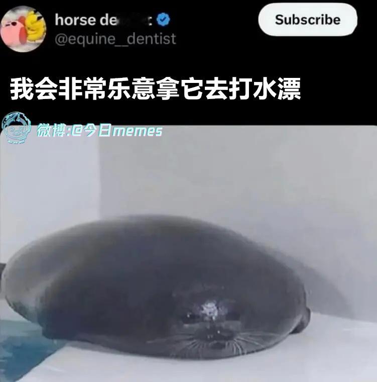 生来如此（equuine_dentist）哎呀