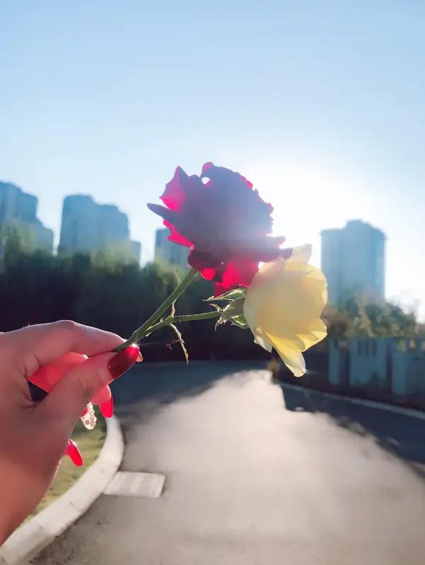不耍心机，不藏算计，用坦率的态度面对生活。无论是在工作场合还是社交聚会，都能以真