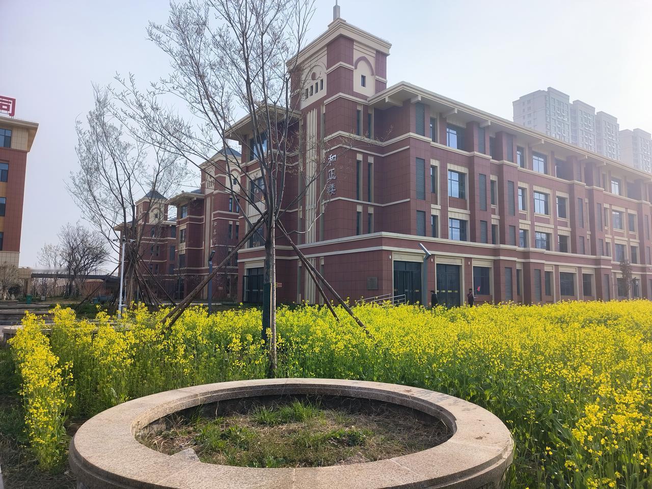 看看学生是如何逗老师的。

九年级的学生，会用幽默的方式，故意测试老师的反应。王