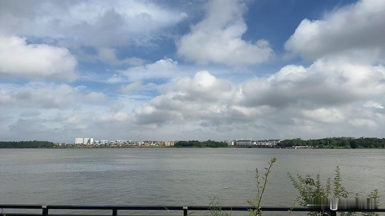 普通打工人其实是最能存下钱的，
一个月就那么点工资，
上有老下有小，
还要还房贷