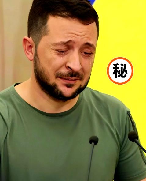 基辅炸出大丑闻！乌克兰这下彻底瞒不住了！



俄军对基辅西郊发起一轮精准空袭，