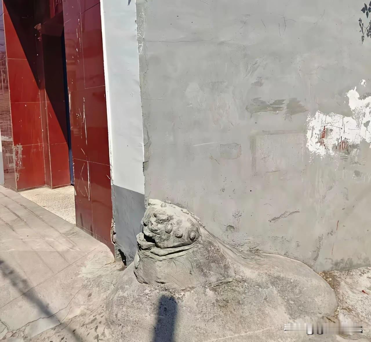 还有门口放蛤蟆的[捂脸]