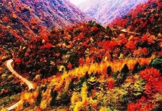谷雨春山青叠翠，
重阳秋岭叶飘红。
网络图片