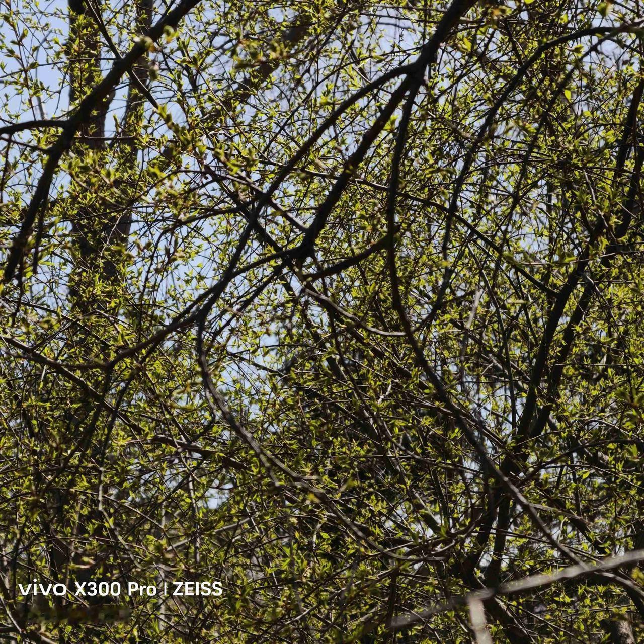 今天天气，多云，气温零上2度至零上14度，东北风4级，空气质量，优。

适合出游