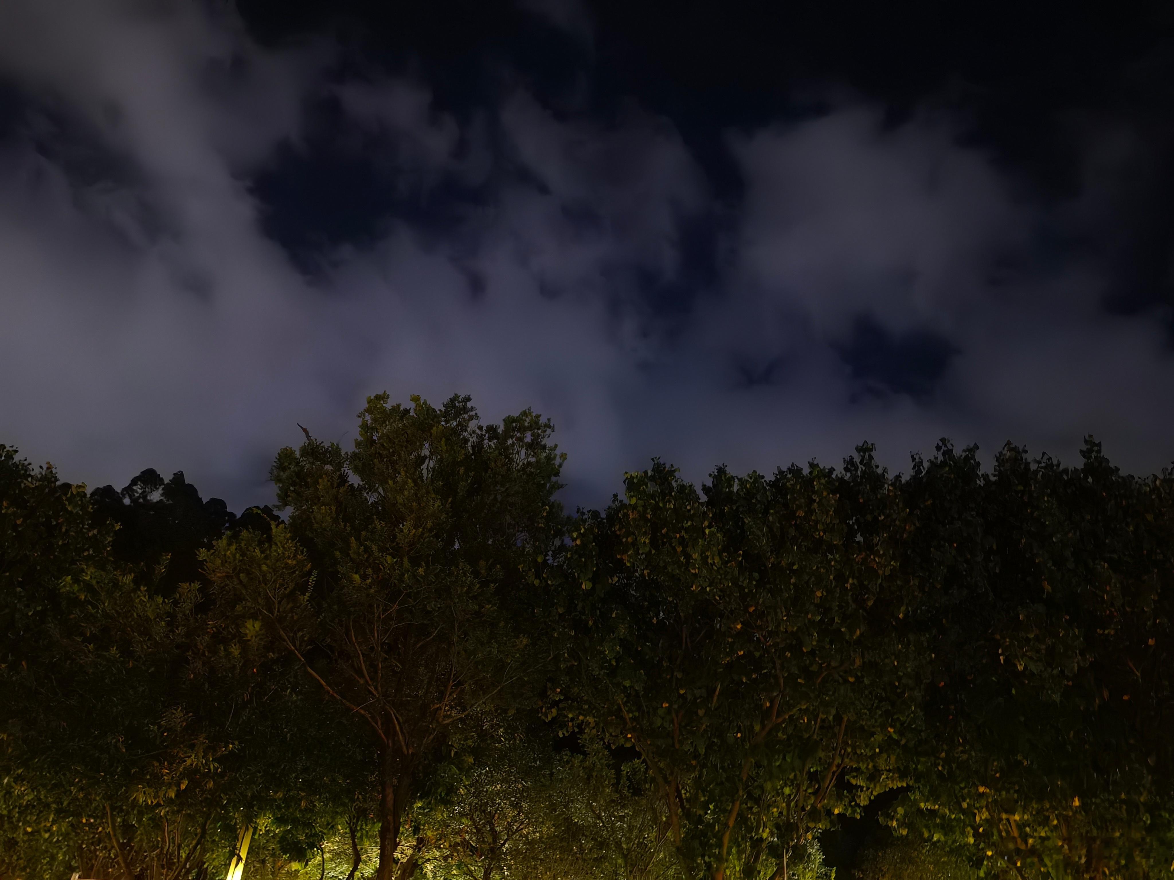这个季节我们郊区的夜色真的很美 
