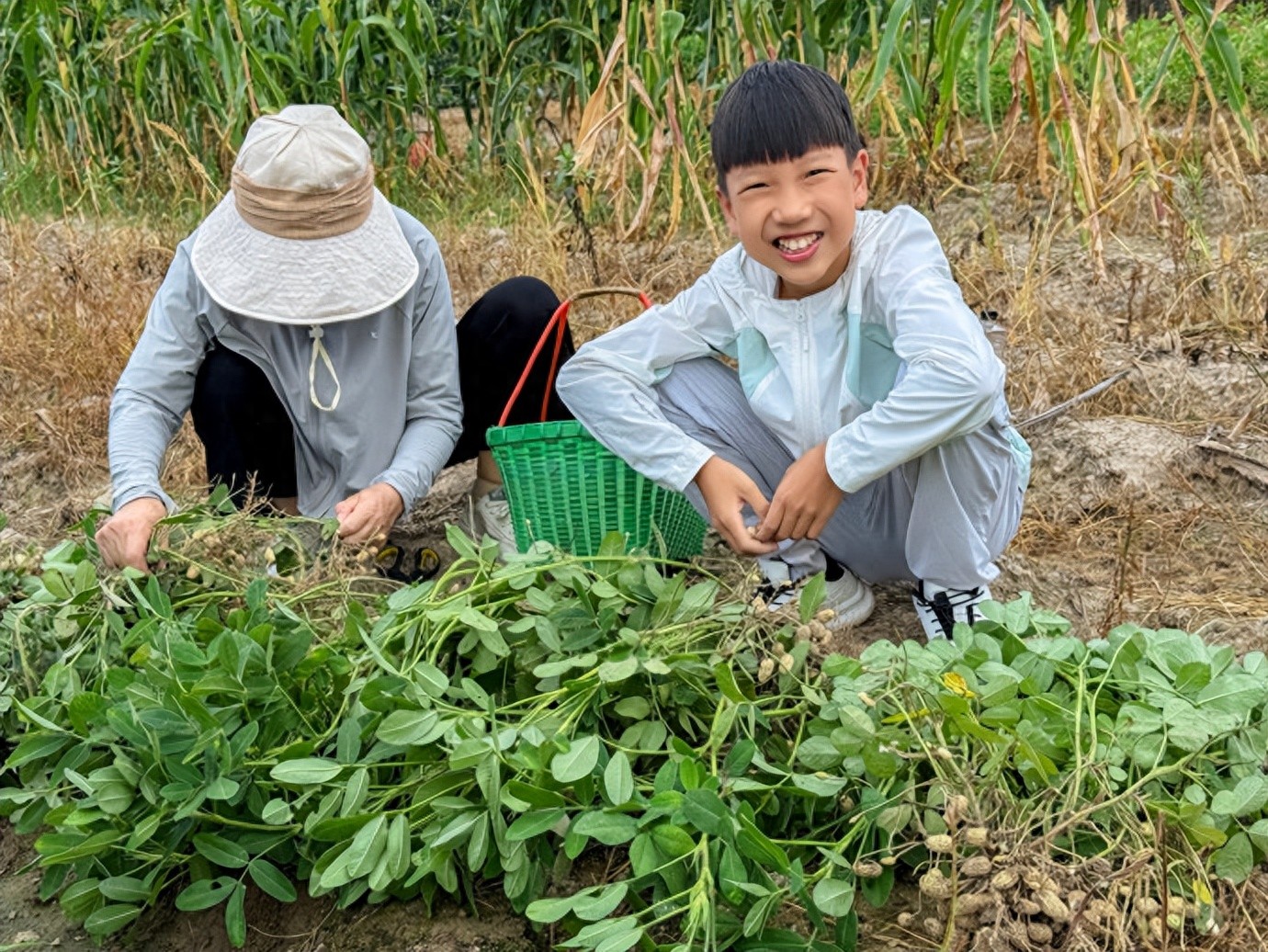 糕妈：摊牌了！年糕学习“开窍”，是因为这几件事