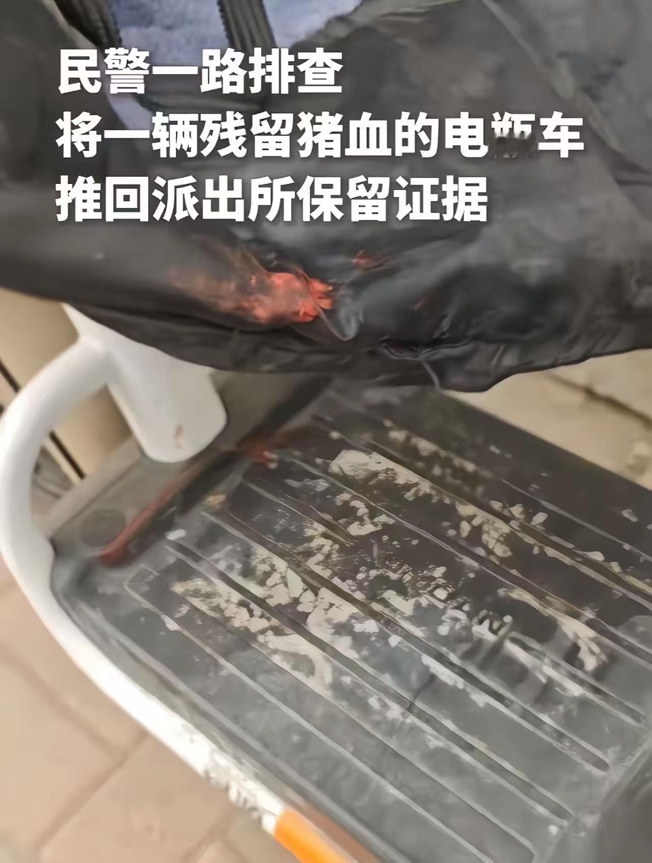 这篇文章讲述了辽宁铁岭民警巧妙破案的精彩故事，展现了他们运用智慧和策略制服窃贼的
