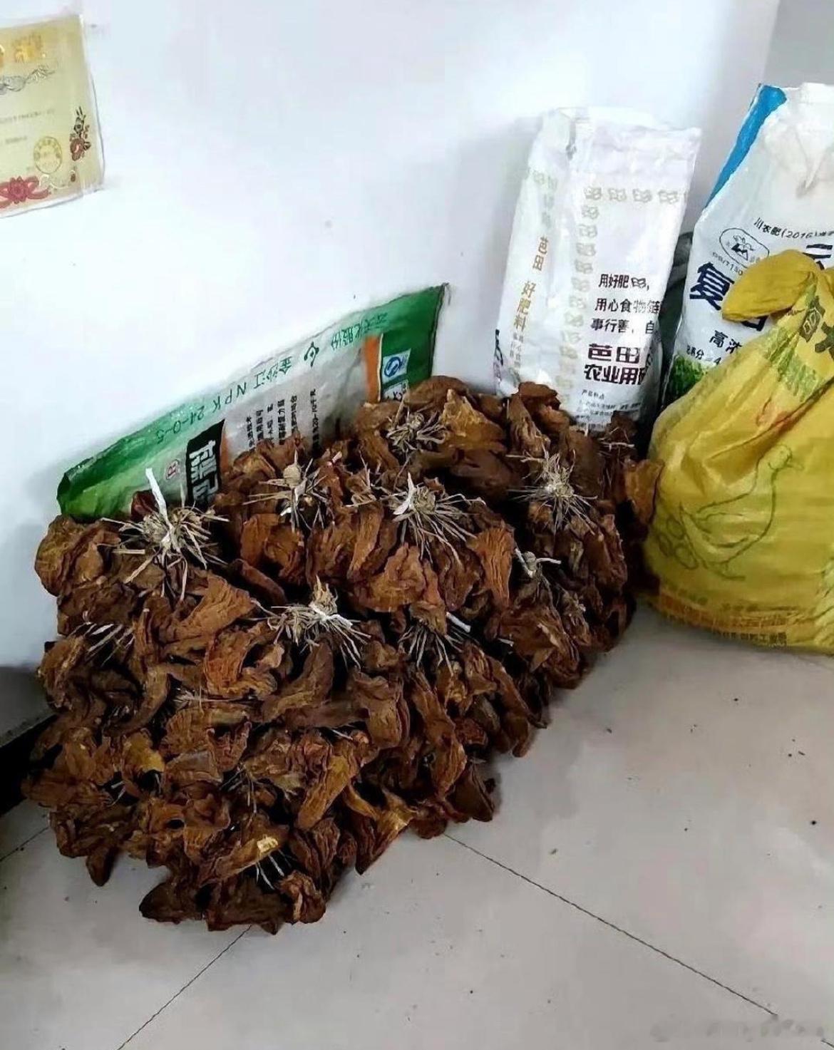 这才是大户人家羡慕了 